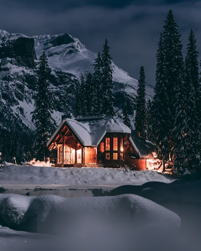 a winter wedding setting in a cabin, with snow and trees