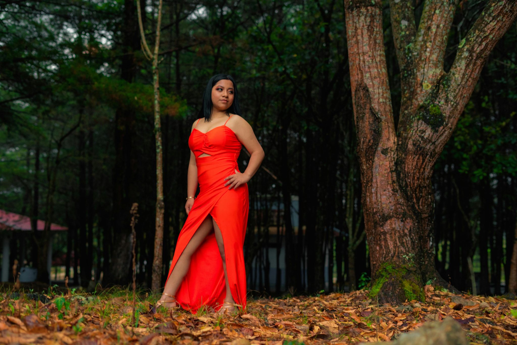 Evening Wear Dress Code How To Choose The Perfect Evening Gown evening-wear-dress-code-how-to-choose-the-perfect-evening-gown